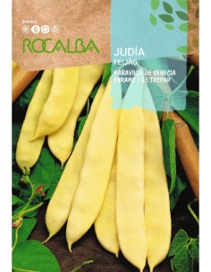 Semilla judía maravilla de Venecia (mata alta)