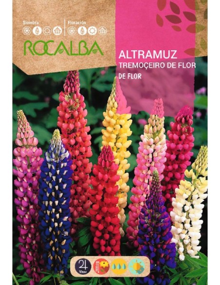 Semente de tremoçeiro de flor variado