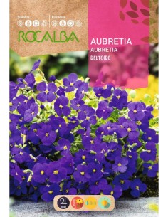 Semente de aubretia deltoide