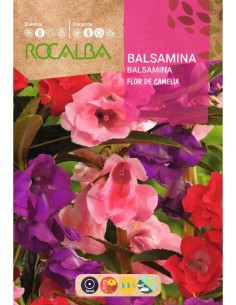 Llavor balsamina