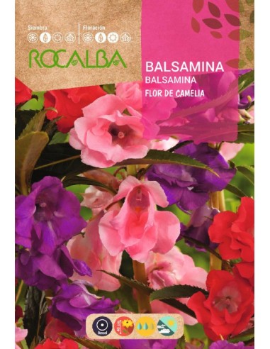 Semente de balsamina