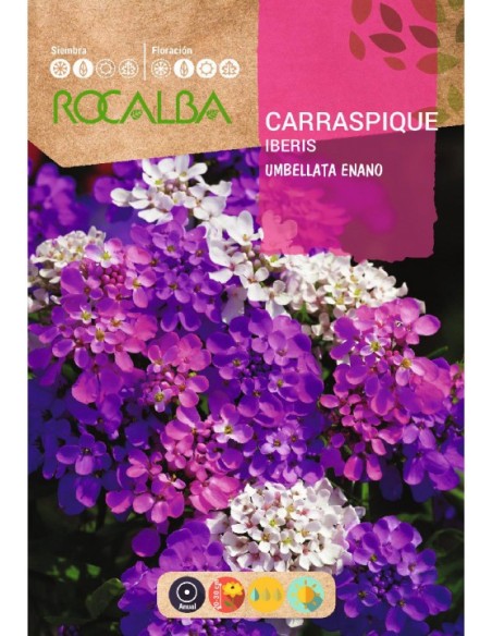 Semilla carraspique