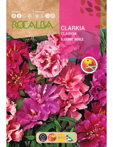 Semilla clarkia doble variada