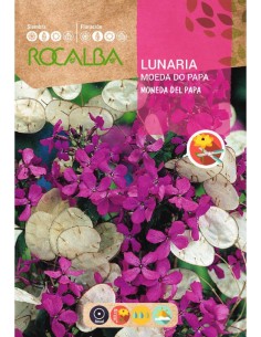 Semilla lunaria
