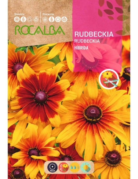Semente de rudbeckia
