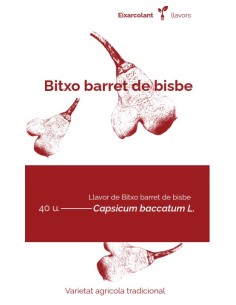 Semilla pimiento picante Bitxo barret de bisbe (tradicional catalán)
