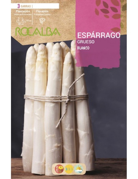 Arrels d'espàrrec blanc (3 arrels)