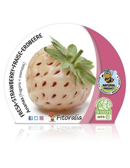 Fresoner