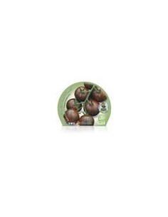Mudas de tomate cherry redondo zebra natural (vaso de 10,5 cm Ø) 2