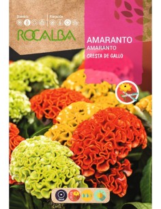 Semilla amaranto cresta de gallo variado