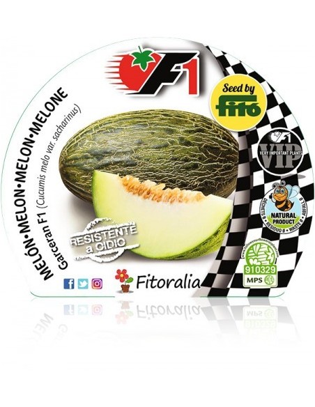 Plantel melón hibrido Garceran natural (6 unidades)