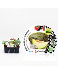 Planter meló hibrid Garceran natural (6 unitats) 2