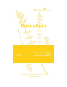 Llavor cuscullera (tradicional català)