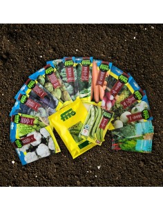 Pack de semillas hortícolas invierno básicas 15