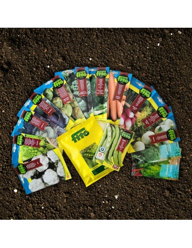 Pack de graines horticoles d'hiver basique 15