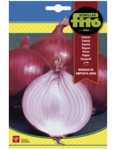 Graine de oignon morada de Amposta - Arbo