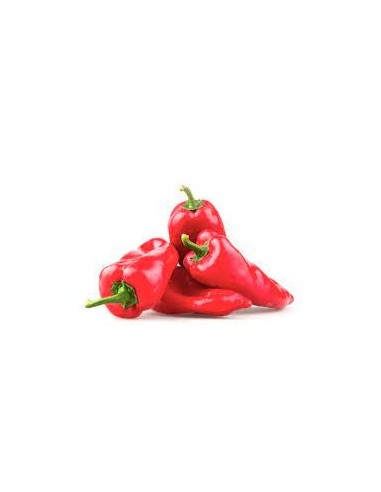 Semilla Piperra Najerano (tradicional vasca)