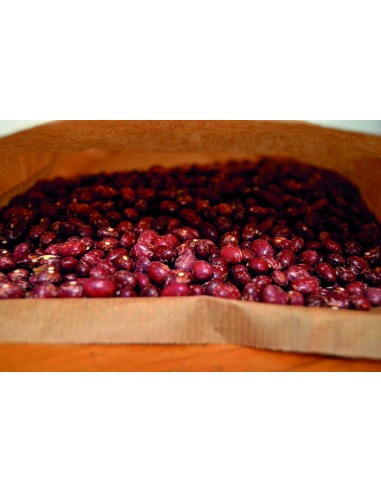 Semente de feijão Pinta alavesa (tradicional basco)