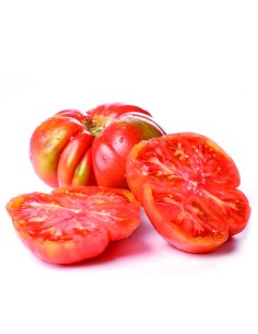 Semente de tomate feo de Tudela (tradicional basco)