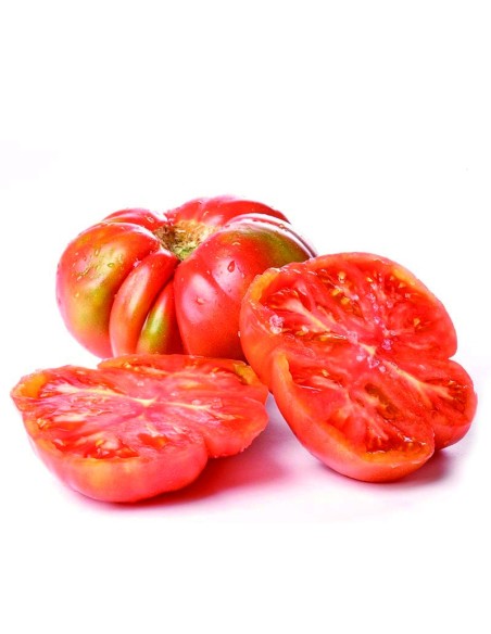 Graines de tomate feo de Tudela (tradicionnel basque)