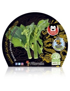 Planter Kailaan natural (test 10,5 cm ø) 2