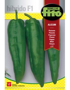Semilla híbrida de pimiento verde italiano