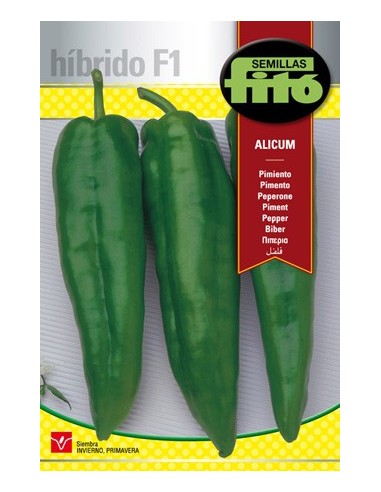 Semente Híbrida de Pimento Verde Italiana em Germigarden