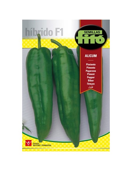 Semente Híbrida de Pimento Verde Italiana em Germigarden