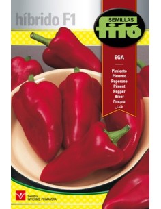 Semilla híbrida de pimiento tipo piquillo