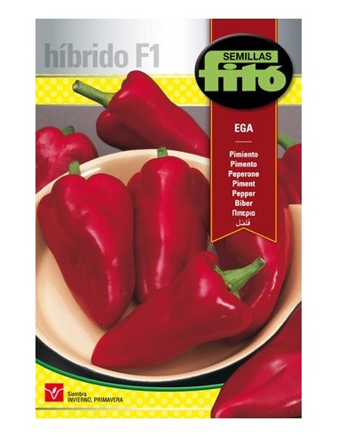 Llavor híbrida de pebrot tipus piquillo