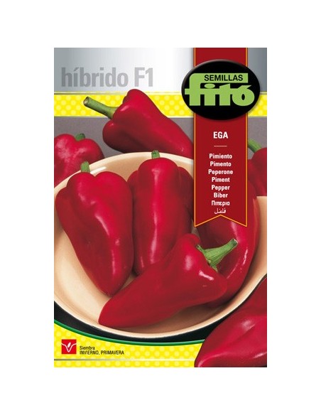 Llavor híbrida de pebrot tipus piquillo