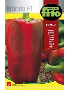 Semilla pimiento Estrella F1 (híbrida)
