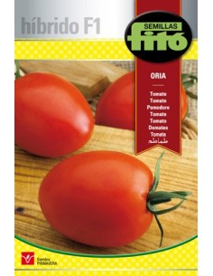 Semilla hibrida de tomate pera