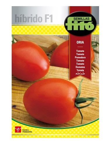 Semilla hibrida de tomate pera