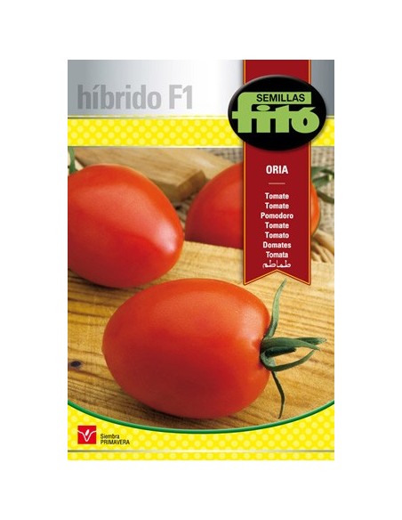 Semilla hibrida de tomate pera