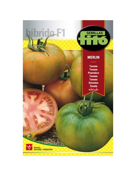 Semilla de tomate tipo raf hibrida