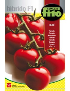 Semilla de tomate híbrido en rama de buena conservacion