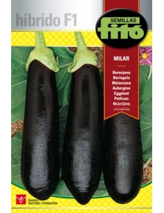 Semilla Berenjena Larne F1 (híbrida)