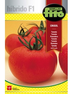 Semilla de tomate híbrido de larga conservación