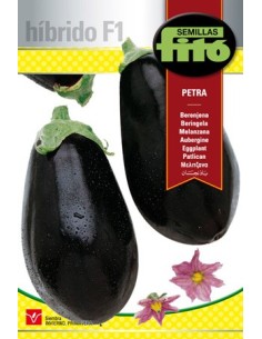 Semilla Berenjena Petra F1 (híbrida)