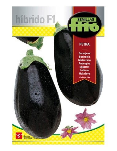 Semilla Berenjena Petra F1 (híbrida)