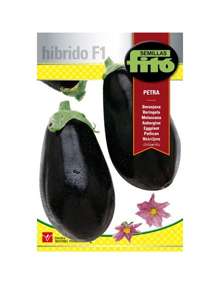 Semilla Berenjena Petra F1 (híbrida)