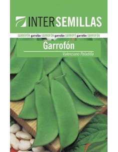 Semente de feijão Garrofón Valenciano Peladilla