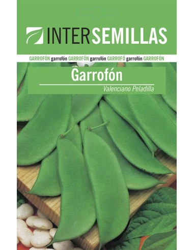 Semente de feijão Garrofón Valenciano Peladilla