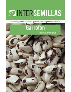Graine de haricot garrofó valencien peint (buisson haut)
