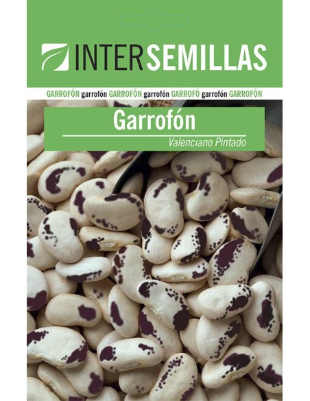 Llavor Garrofó valencià Pintat (mata alta)