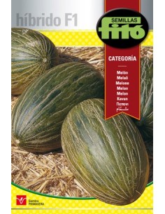 Semilla Melón Categoría F1 (tipo piel de sapo) (híbrida)