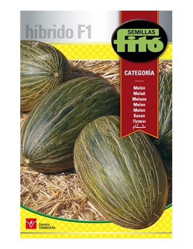 Semilla Melón Categoría F1 (tipo piel de sapo) (híbrida)