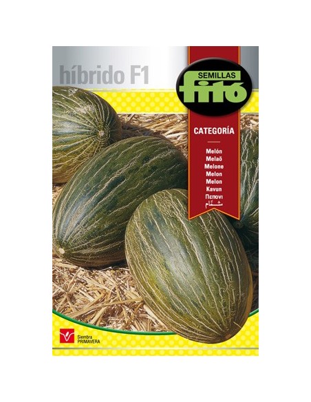 Semilla Melón Categoría F1 (tipo piel de sapo) (híbrida)