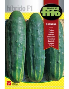Llavor híbrida de cogombre llarg